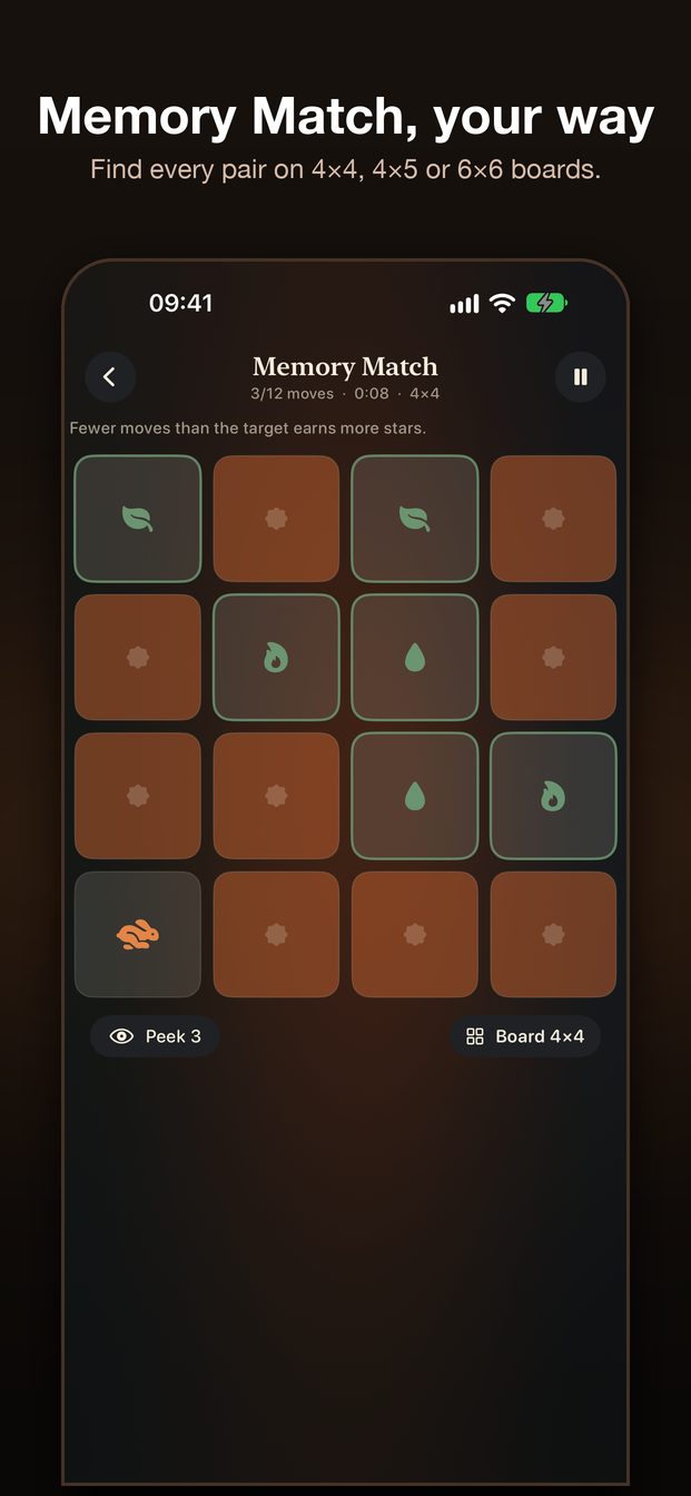 Memory Match card board